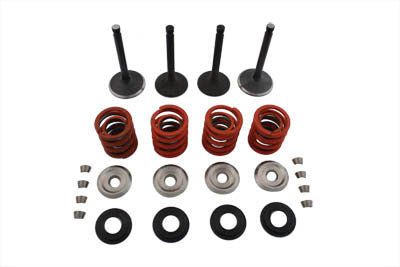 HARLEY Nitrate Valve and Spring Kit fits 1979-1983 FLT, 1982-1983 FXR, 1982-1984 FL, 1982-1984 FX,