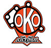 HARLEY Ultima OKO Flicken-Set Passt 0- Alle Modelle