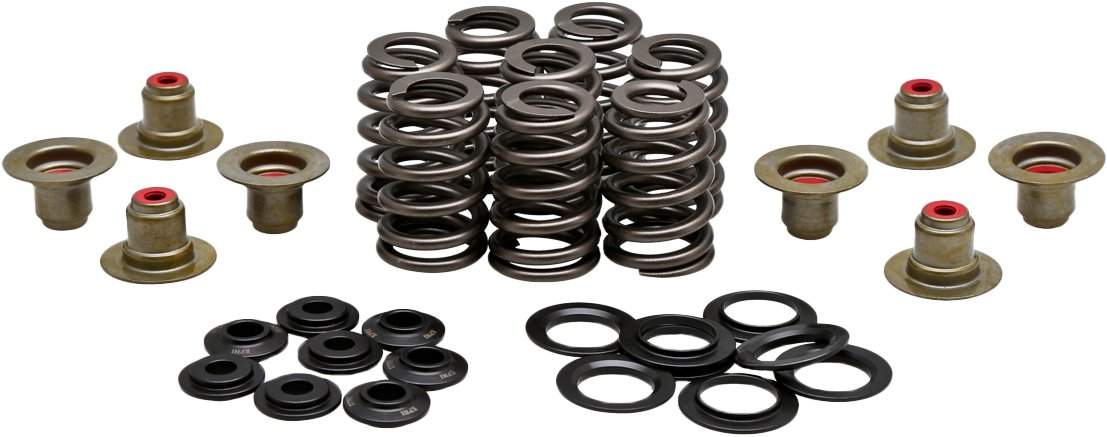 HARLEY KPMI BEEHIVE VALVE SPRING KIT .550 LIFT M8`17-24 NON VVT 20-21215