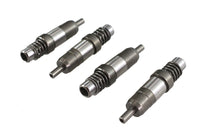 HARLEY Hydrostößel-Einheitssatz passend für 1953-1984 FL, 1971-1984 FX, 1979-1983 FLT, 1982-1983 FXR