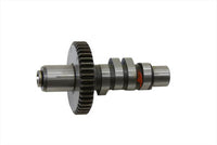 HARLEY Side Kick Cam fits 1970-1977 FL,   1971-1977 FX,