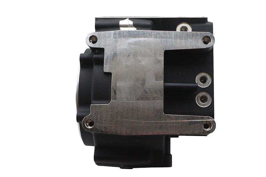 HARLEY 100 CI Ultima Twin Cam Engine Case Set Black