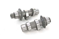 Andrews Cam Set Late Rollenkette Antrieb #48