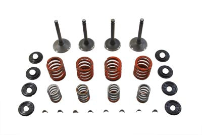 HARLEY Nitrate Valve and Spring Kit fits 1966-1979 FL,  1971-1979 FX,