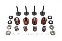 HARLEY Nitrat-Ventil- und Feder-Kit Passend für 1980–1981 FL, 1980–1981 FX, 1980–1981 FLT,