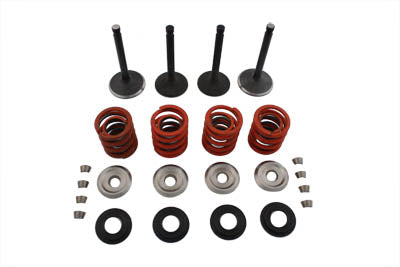 HARLEY Nitrate Valve and Spring Kit fits 1979-1983 FLT,   1982-1983 FXR,   1982-1984 FL,   1982-1984 FX,