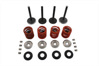 HARLEY Nitrate Valve and Spring Kit fits 1979-1983 FLT,   1982-1983 FXR,   1982-1984 FL,   1982-1984 FX,
