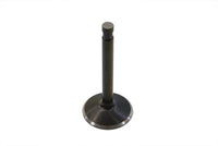 Edelstahl Black Diamond Einlassventil