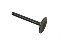 Edelstahl Black Diamond Einlassventil