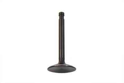 Edelstahl Black Diamond Einlassventil