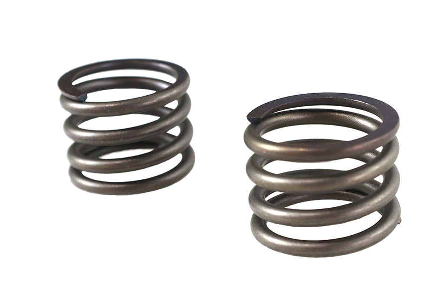 HARLEY 41mm Gabeldämpferrohr-Federsatz passend für 1977-1984 FL, 1979-2005 FLT, 1979-2005 FLT,