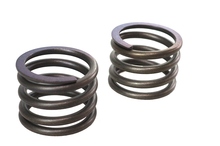 HARLEY 41mm Gabeldämpferrohr-Federsatz passend für 1977-1984 FL, 1979-2005 FLT, 1979-2005 FLT,