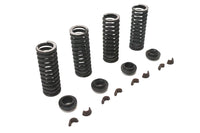 HARLEY Ventilfeder-Kit passend für 1941-1973 G, 1941-1952 WL,