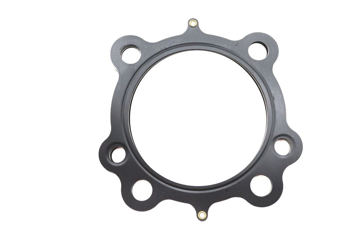 HARLEY Ultima MLS Cylnder Head Gasket Fits FXD 1999-2017,   FXST 1999-2017,   FLST 1999-2017,   FLT