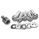 Custom Chrome HARLEY TORX BOLTS & WASHERS ONLY (5)