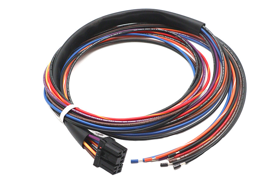 HARLEY Deutsch Verkabelungsstecker für Rücklicht Passt 0-  Alle, Modelle 0-  Alle, Modelle