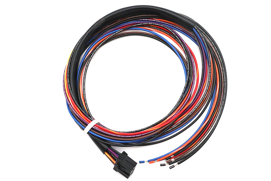 HARLEY Deutsch Verkabelungsstecker für Rücklicht Passt 0-  Alle, Modelle 0-  Alle, Modelle