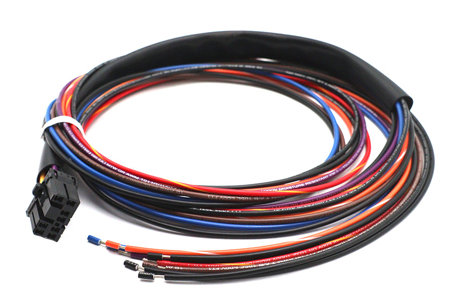 HARLEY Deutsch Verkabelungsstecker für Rücklicht Passt 0-  Alle, Modelle 0-  Alle, Modelle