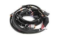 HARLEY Hauptkabelbaum-Kit Passend für 1996-1997 FXST, 1996-1997 FLST,