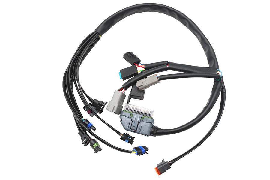 HARLEY Kompletter EFI-Kabelbaum Passend für 2004-2005 FLHT, 2004-2005 FLT,