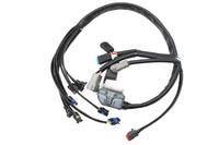 HARLEY Kompletter EFI-Kabelbaum Passend für 2004-2005 FLHT, 2004-2005 FLT,