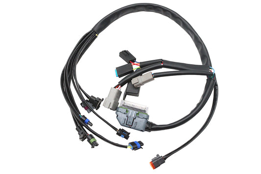 HARLEY Kompletter EFI-Kabelbaum Passend für 2004-2005 FLHT, 2004-2005 FLT,