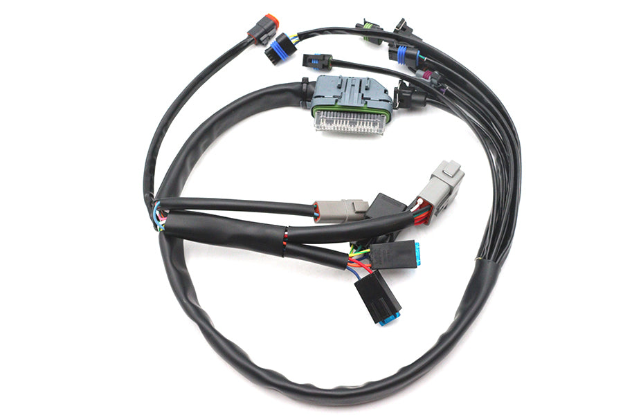 HARLEY Kompletter EFI-Kabelbaum Passend für 2004-2005 FLHT, 2004-2005 FLT,