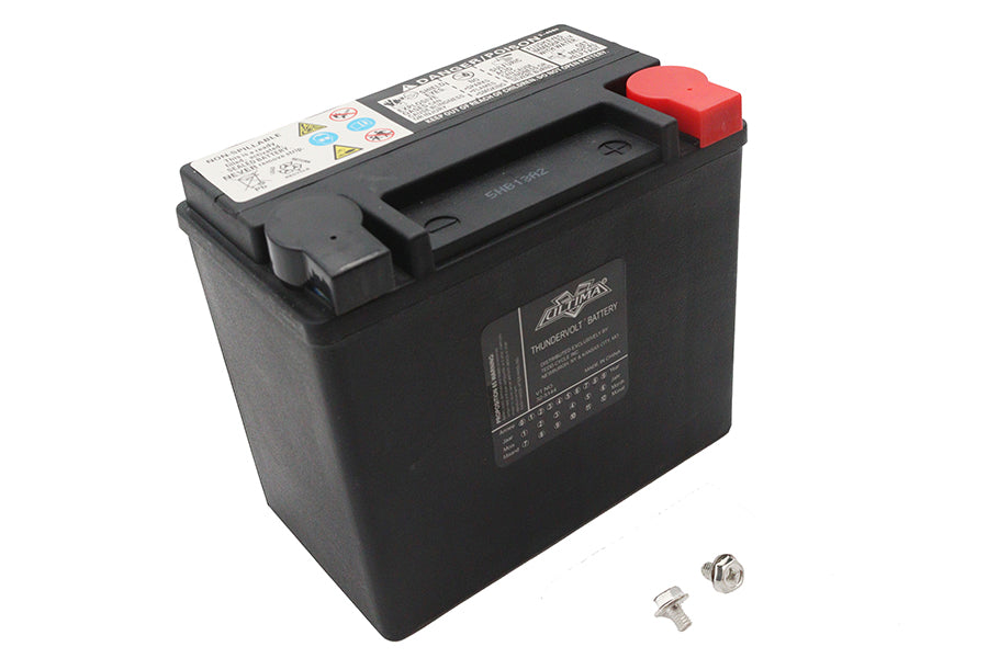HARLEY Ultima 12 Volt AGM Thundervolt Batterie Passend für 1991-1996 FXD, 1991-1996 FXST, 1991-1996 FLST