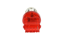 HARLEY SMD LED Keil Glühbirne Rot Passend für 0- Alle, Blinker