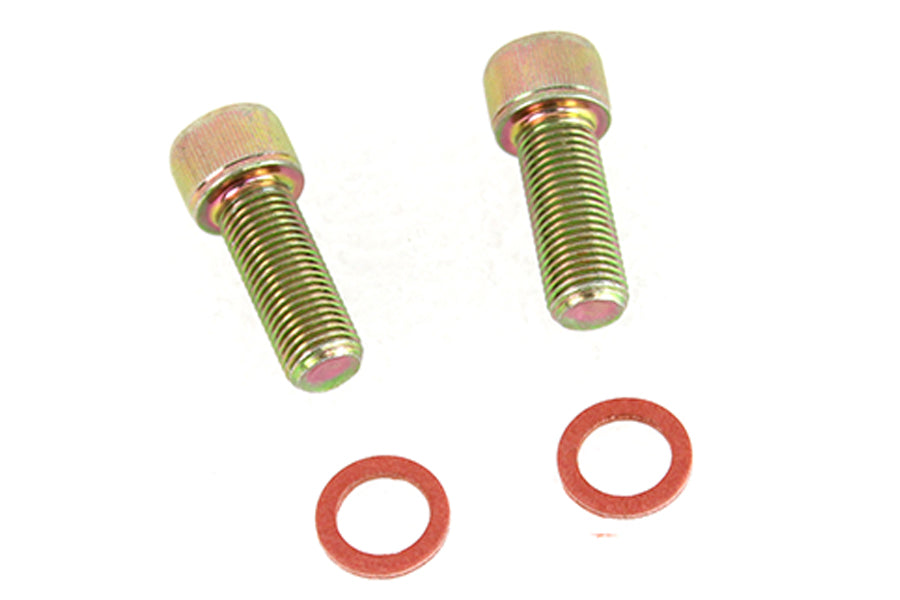HARLEY Dämpfer-Gabelrohr-Schrauben- und Unterlegscheiben-Kit, verzinkt, passend für 1973-1974 XLH, 1973-1974 XLCH, 197