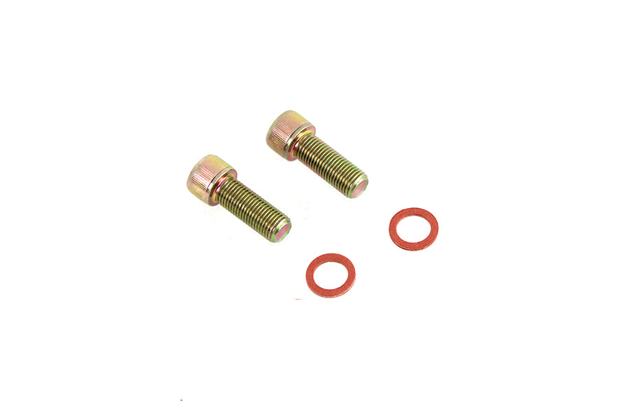 HARLEY Dämpfer-Gabelrohr-Schrauben- und Unterlegscheiben-Kit, verzinkt, passend für 1973-1974 XLH, 1973-1974 XLCH, 197