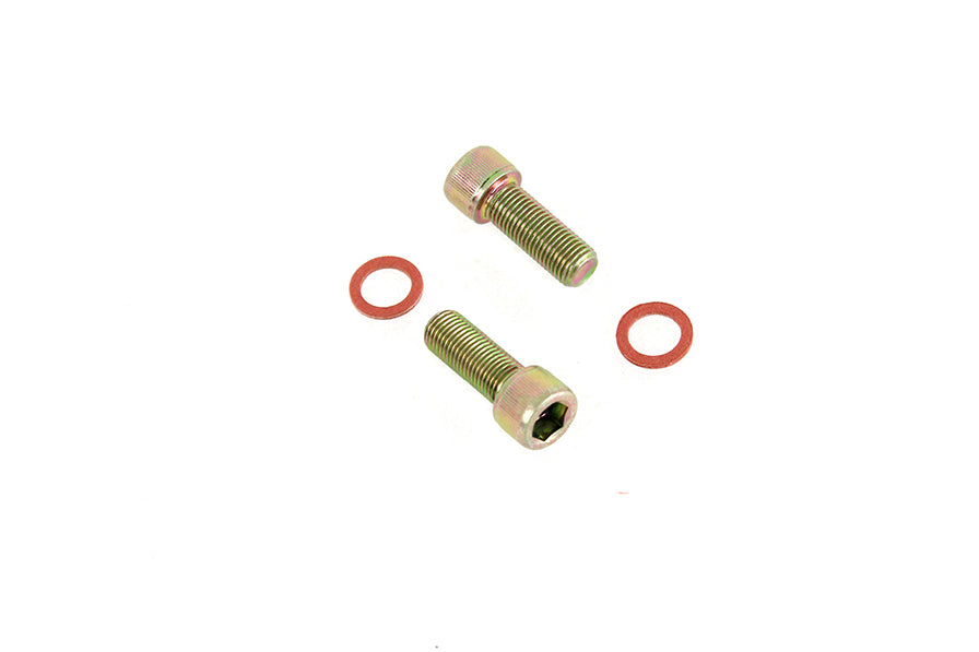HARLEY Dämpfer-Gabelrohr-Schrauben- und Unterlegscheiben-Kit, verzinkt, passend für 1973-1974 XLH, 1973-1974 XLCH, 197