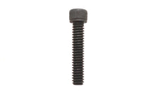 Ultima Transmission Support Magnet Screw