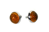 HARLEY License Plate Frame Reflectors Amber Glass Fits 0-  Custom, application