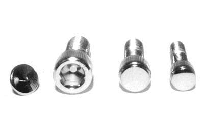 HARLEY 1/4 inch Plastic Allen End Plugs fits 0-  All, Models
