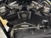HARLEY OE M8 Logo Spulendeckel Passt auf 2018-UP FLST, 2018-UP FXST,