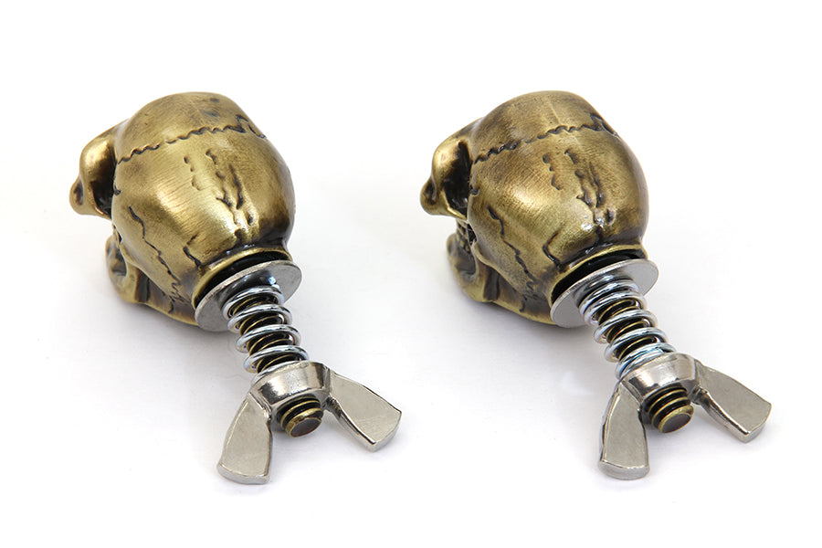 HARLEY Gold Skull Kennzeichenschrauben-Set Passend für 0- individuell, nach Anwendung
