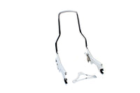 HARLEY 14-1/2 inch Standard Detachable Sissy Bar Chrome fits 2018-UP FLDE,  2018-UP FLHC,  2018-UP FLSL,  2018-UP FXBB,