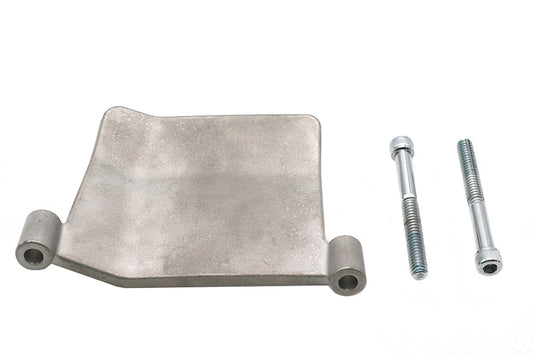 HARLEY Primary Nerf plate Fits 2018-UP FLT,