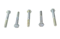 HARLEY Hex Cap Bolts Zinc 1/4 inch X 2 inch Fits 0-  All, models
