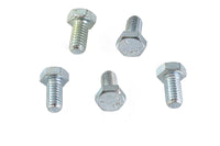 HARLEY Hex Cap Bolts Zinc 5/16 inch X 5/8 inch Fits 0-  All, models