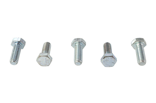 HARLEY Hex Cap Bolts Zinc 5/16 inch X 7/8 inch Fits 0-  All, models