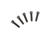 HARLEY Allen Cap Screw Black Fits 0-  All, models