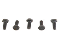 HARLEY Black Hex Cap Bolts 1/4 inch-20 x 3/8 inch Fits 0-  All, models