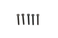 HARLEY Allen Cap Screw Black 10-24 x 1 inch Fits 0-  All, models