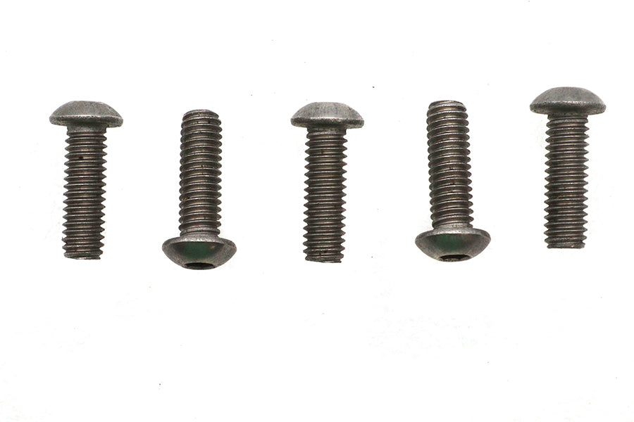 HARLEY Allen Button Head Screws Stainless Steel 5/16-18 X 1 inch Fits 0-  All, models
