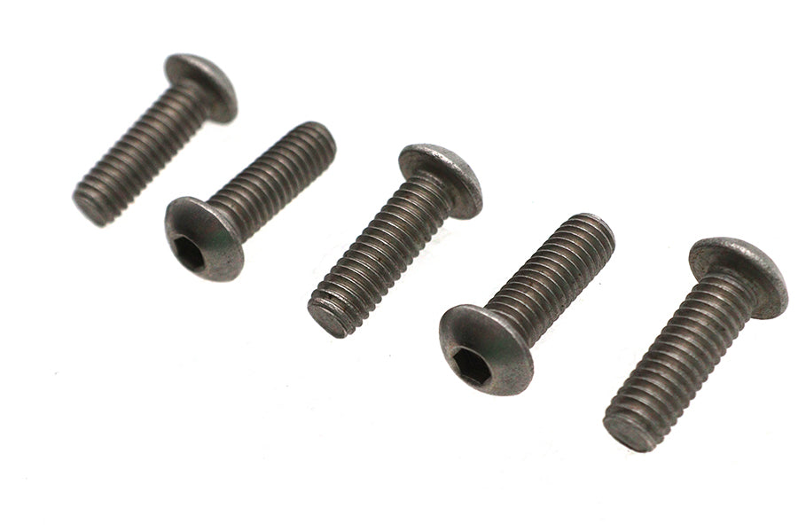 HARLEY Allen Button Head Screws Stainless Steel 5/16-18 X 1 inch Fits 0-  All, models