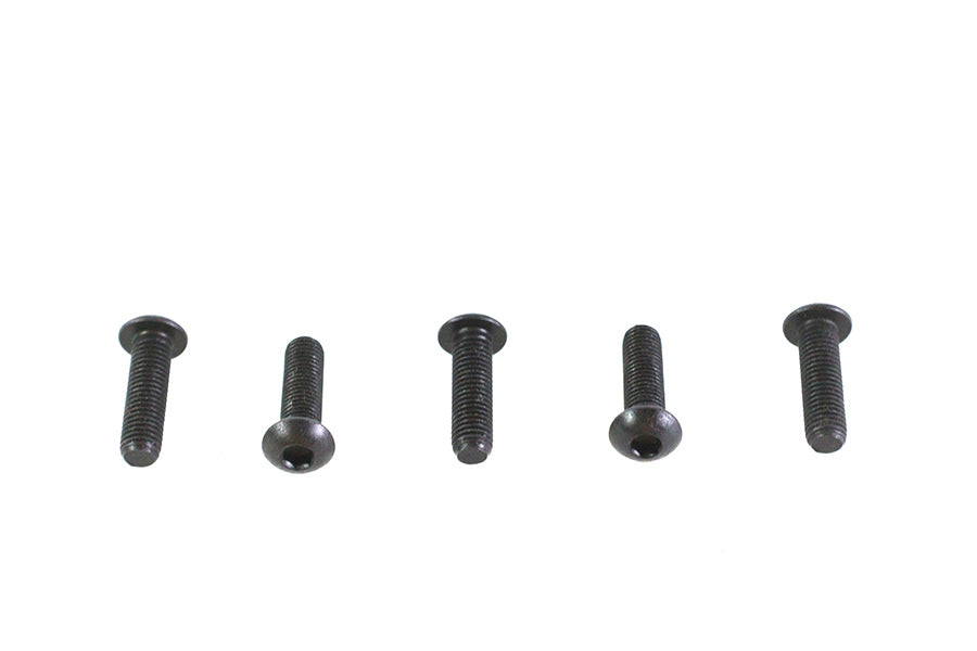 HARLEY Allen Button Head Screws Black 1/4-28 X 7/8 inch Fits 0-  All, models