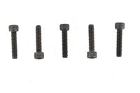 HARLEY 10-24 x 7/8 inch Allen Socket Cap Screw Black Fits 0-  All, models