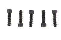HARLEY 1/4 inch-20 X 1 inch Allen Socket Cap Screw Black Fits 0-  All, models